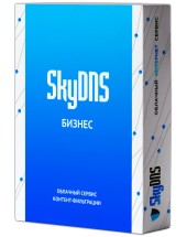 SkyDNS Бизнес на 1 год