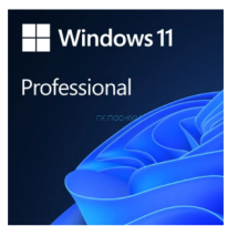 FQC-10572 Операционная система Microsoft Windows 11 Pro, Win Pro FPP 11 64-bit All Lng PK Lic Online DwnLd NR