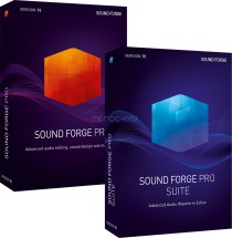 SONY SOUND FORGE Pro 15
