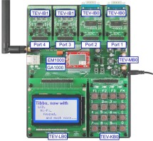 TIBBO EM1000-TEV-1024K-W-L2 (LB2+EM1000W), отладочный комплект с WiFi, ЖК: 176х220 цв